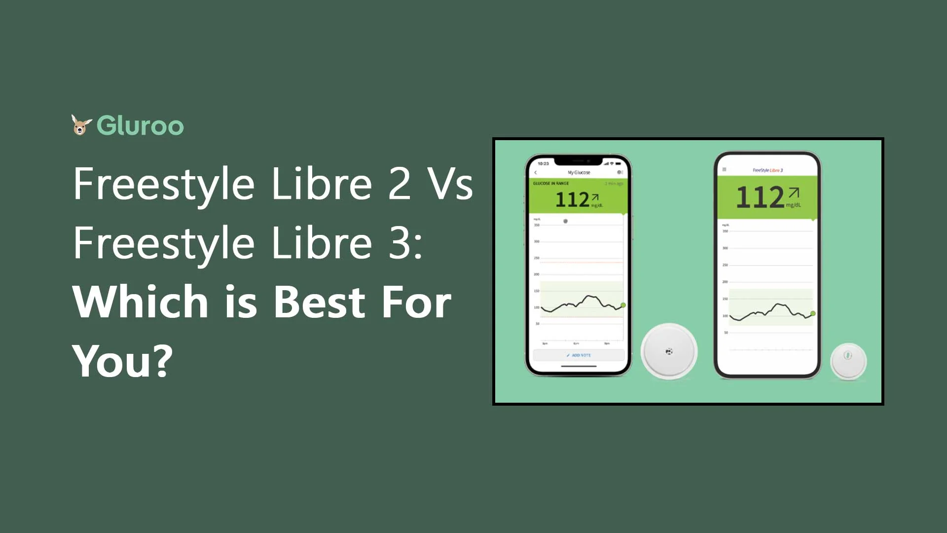 Difference Between Freestyle Libre 2 and Freestyle Libre 3